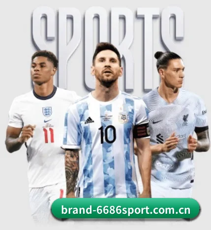 6686体育 APP(6686 SPORTS)